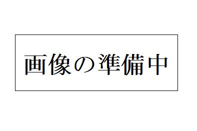 トヨタハイエースロング